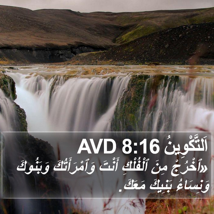اَلتَّكْوِينُ 8:16 AVD Bible Study