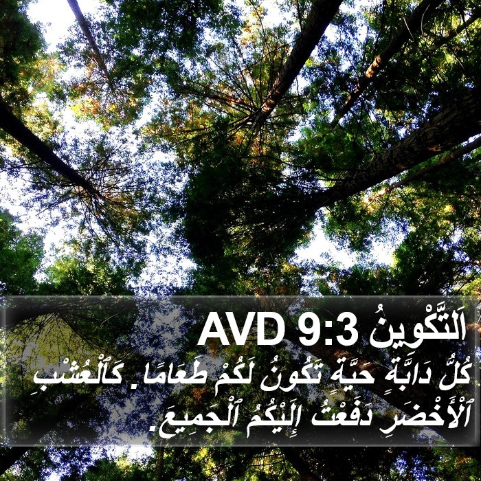 اَلتَّكْوِينُ 9:3 AVD Bible Study