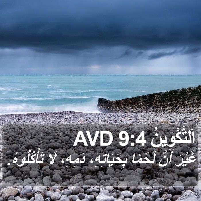 اَلتَّكْوِينُ 9:4 AVD Bible Study