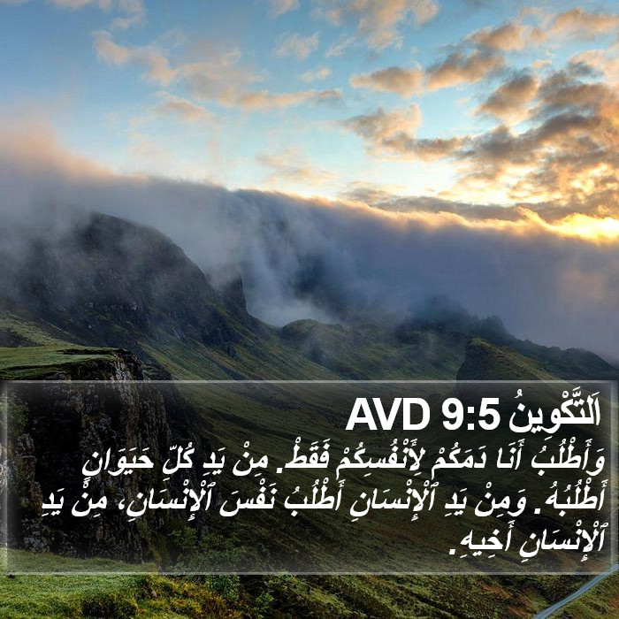 اَلتَّكْوِينُ 9:5 AVD Bible Study