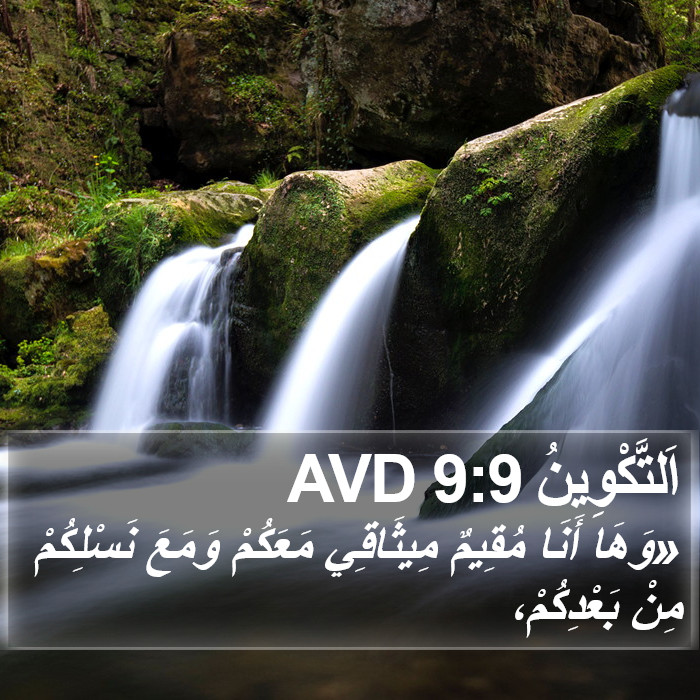 اَلتَّكْوِينُ 9:9 AVD Bible Study