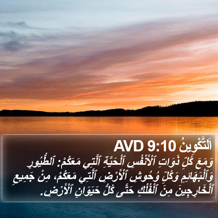 اَلتَّكْوِينُ 9:10 AVD Bible Study