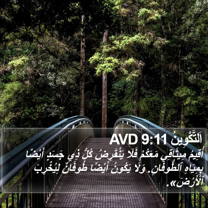 اَلتَّكْوِينُ 9:11 AVD Bible Study