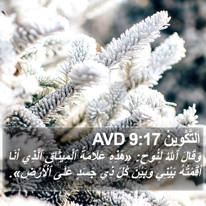 اَلتَّكْوِينُ 9:17 AVD Bible Study