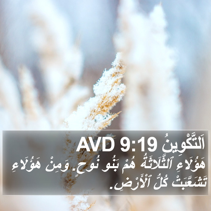 اَلتَّكْوِينُ 9:19 AVD Bible Study