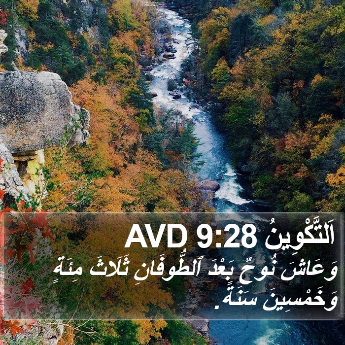 اَلتَّكْوِينُ 9:28 AVD Bible Study