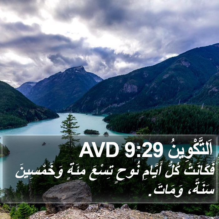 اَلتَّكْوِينُ 9:29 AVD Bible Study