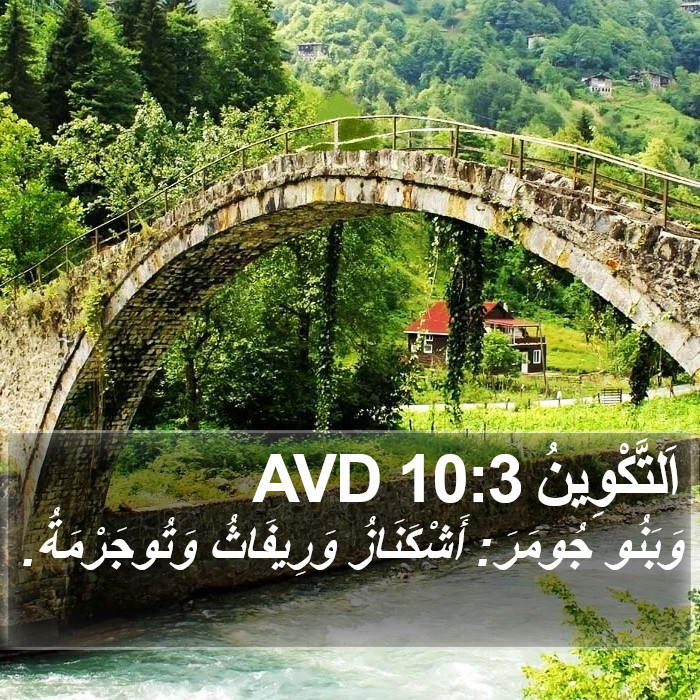 اَلتَّكْوِينُ 10:3 AVD Bible Study