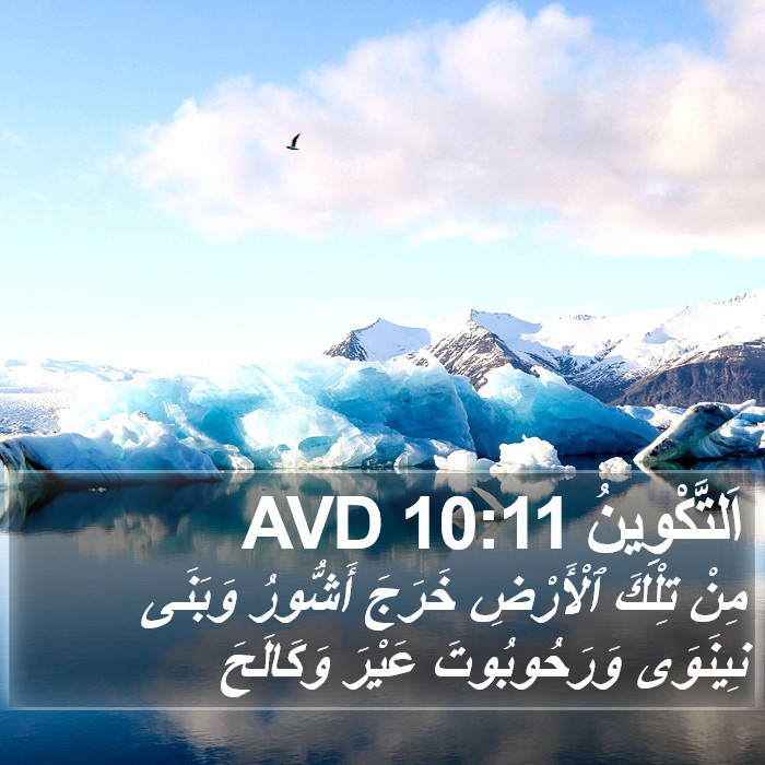 اَلتَّكْوِينُ 10:11 AVD Bible Study