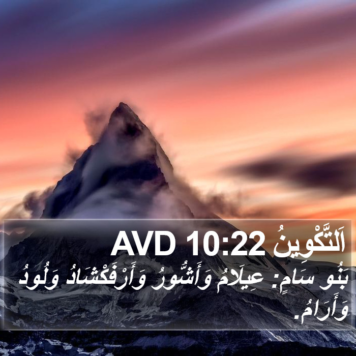 اَلتَّكْوِينُ 10:22 AVD Bible Study