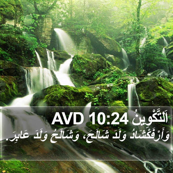 اَلتَّكْوِينُ 10:24 AVD Bible Study