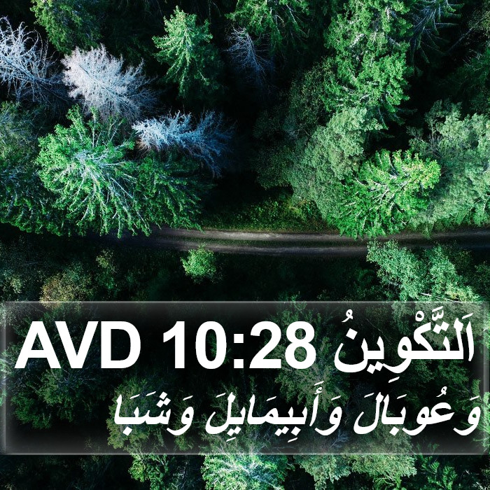 اَلتَّكْوِينُ 10:28 AVD Bible Study