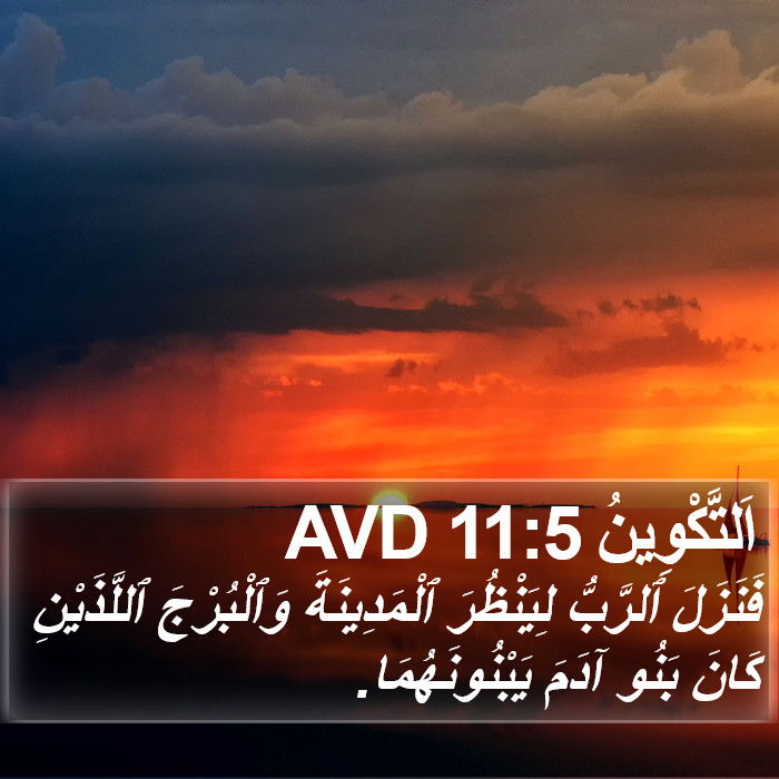 اَلتَّكْوِينُ 11:5 AVD Bible Study