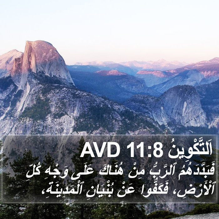 اَلتَّكْوِينُ 11:8 AVD Bible Study