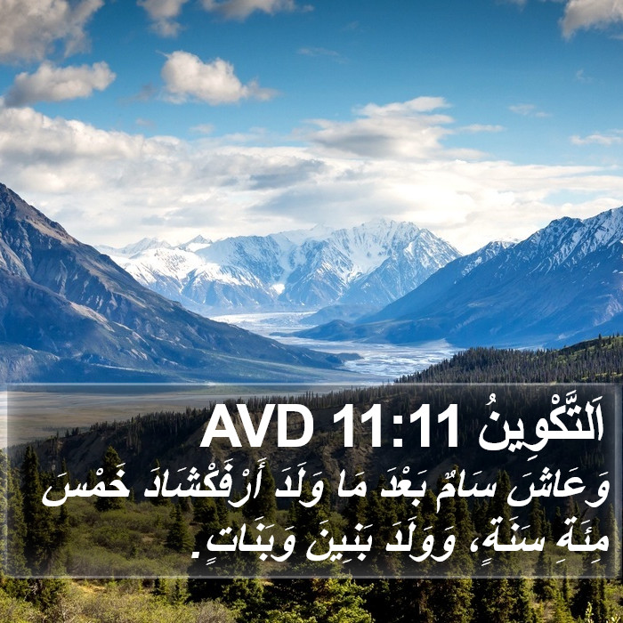 اَلتَّكْوِينُ 11:11 AVD Bible Study