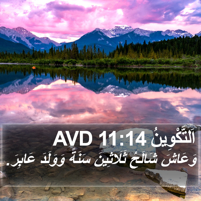 اَلتَّكْوِينُ 11:14 AVD Bible Study