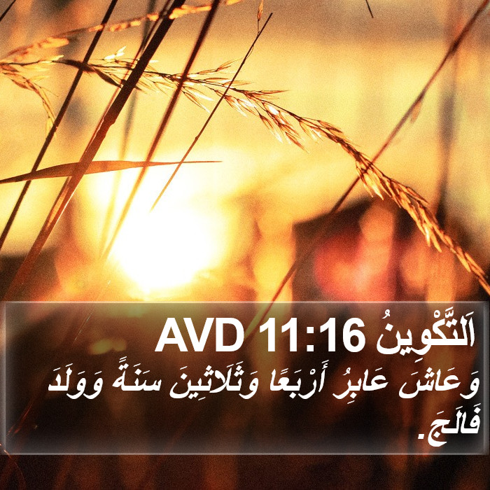 اَلتَّكْوِينُ 11:16 AVD Bible Study