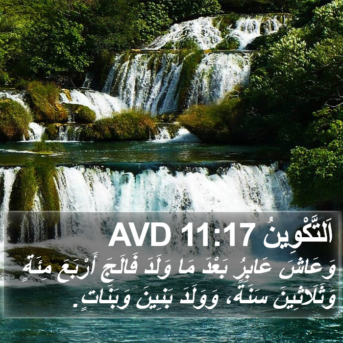 اَلتَّكْوِينُ 11:17 AVD Bible Study