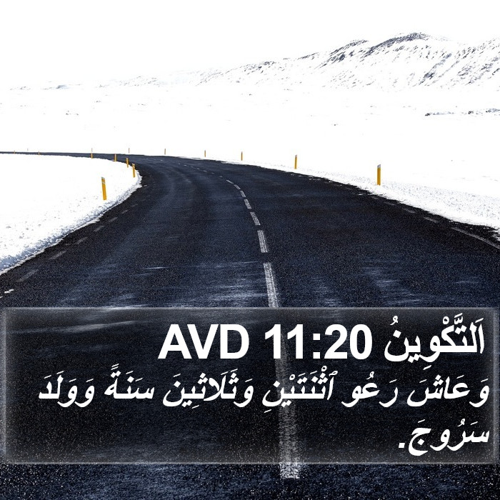 اَلتَّكْوِينُ 11:20 AVD Bible Study