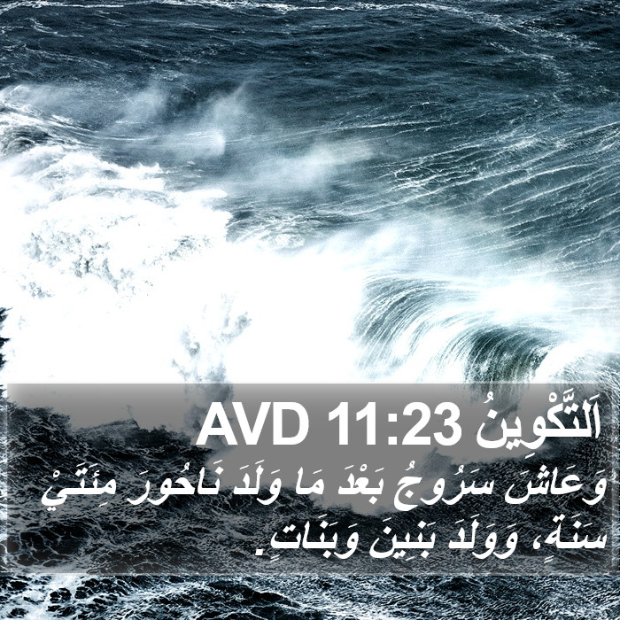 اَلتَّكْوِينُ 11:23 AVD Bible Study