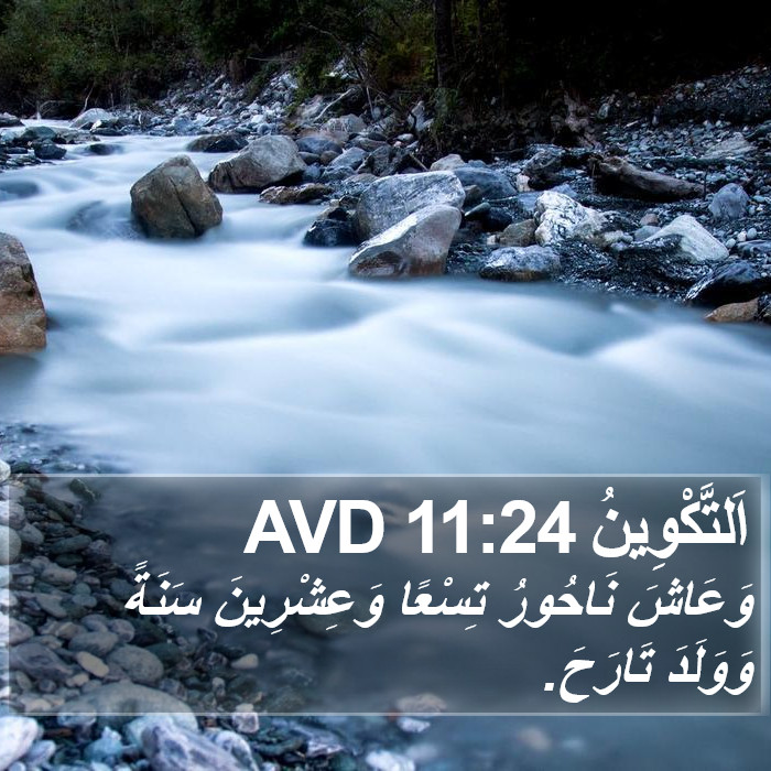 اَلتَّكْوِينُ 11:24 AVD Bible Study