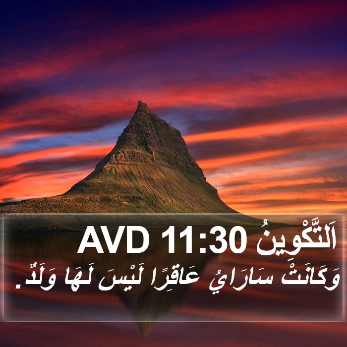 اَلتَّكْوِينُ 11:30 AVD Bible Study