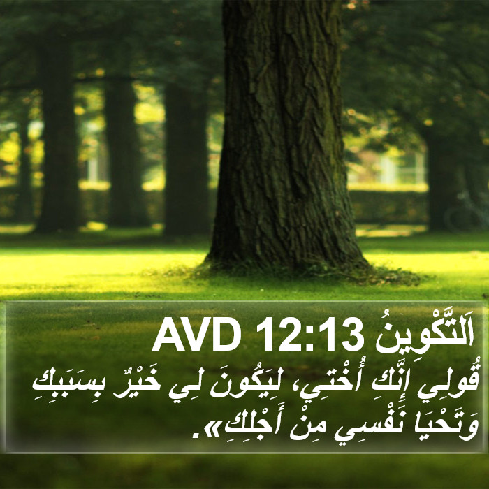 اَلتَّكْوِينُ 12:13 AVD Bible Study
