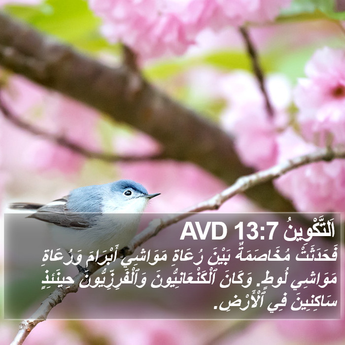 اَلتَّكْوِينُ 13:7 AVD Bible Study