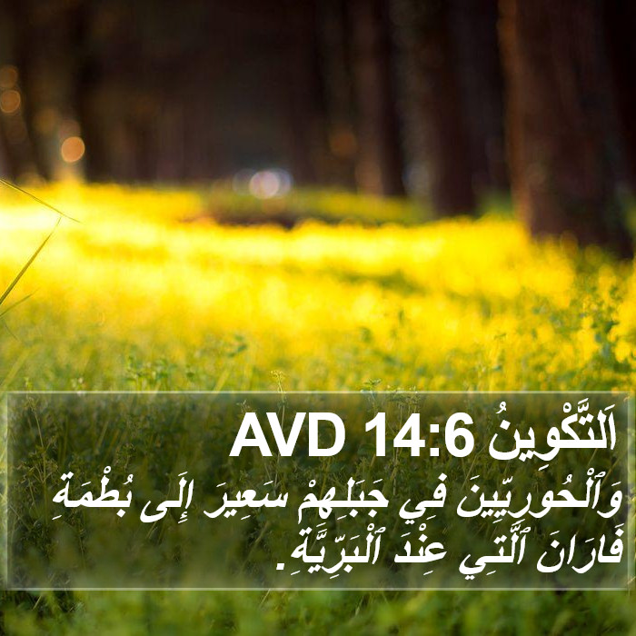 اَلتَّكْوِينُ 14:6 AVD Bible Study