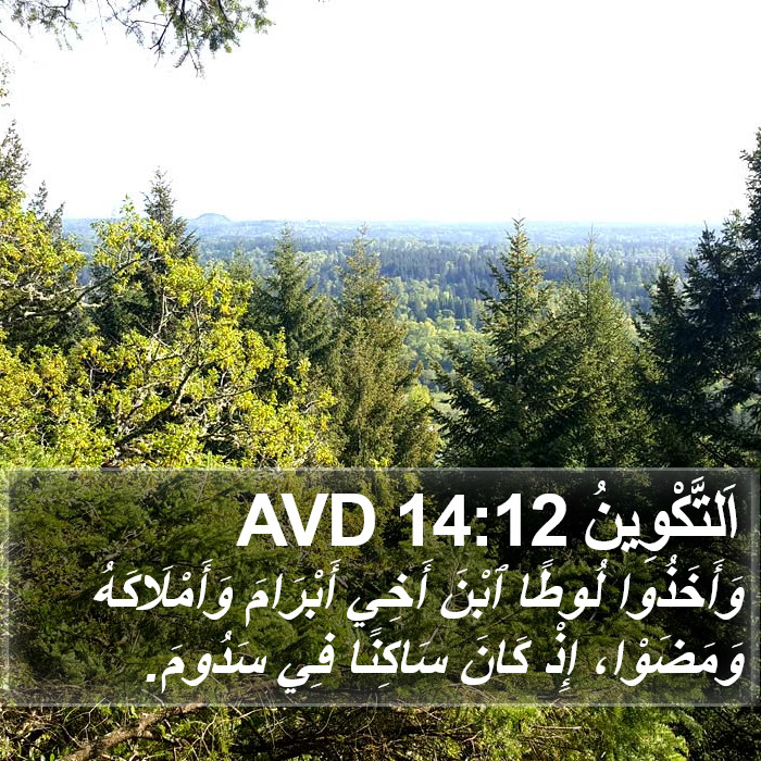 اَلتَّكْوِينُ 14:12 AVD Bible Study