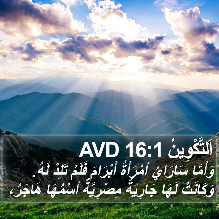 اَلتَّكْوِينُ 16:1 AVD Bible Study