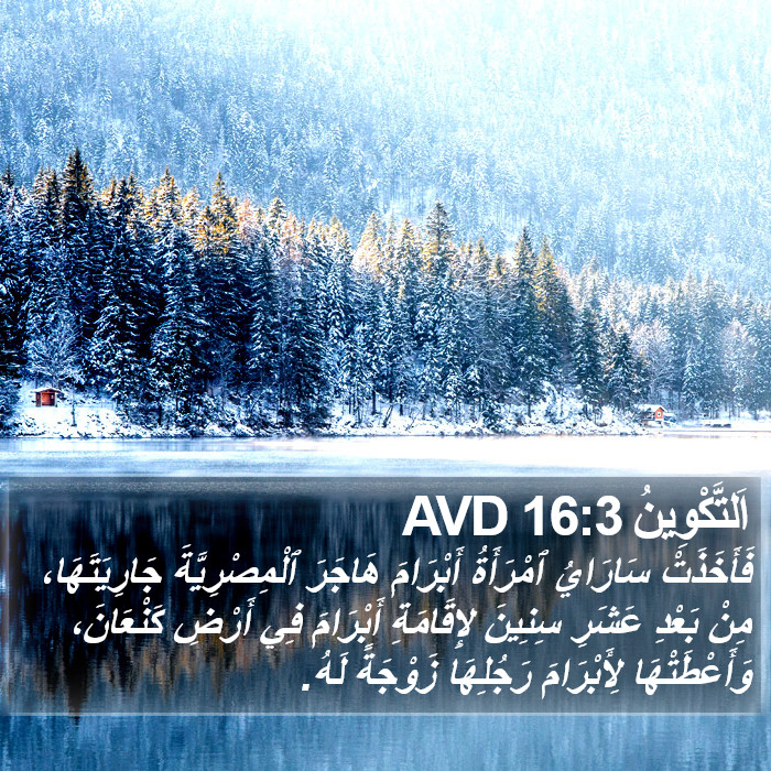 اَلتَّكْوِينُ 16:3 AVD Bible Study