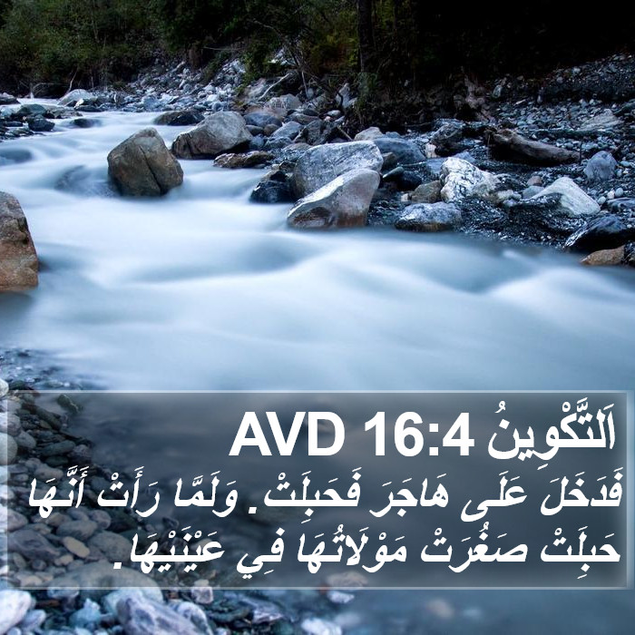 اَلتَّكْوِينُ 16:4 AVD Bible Study