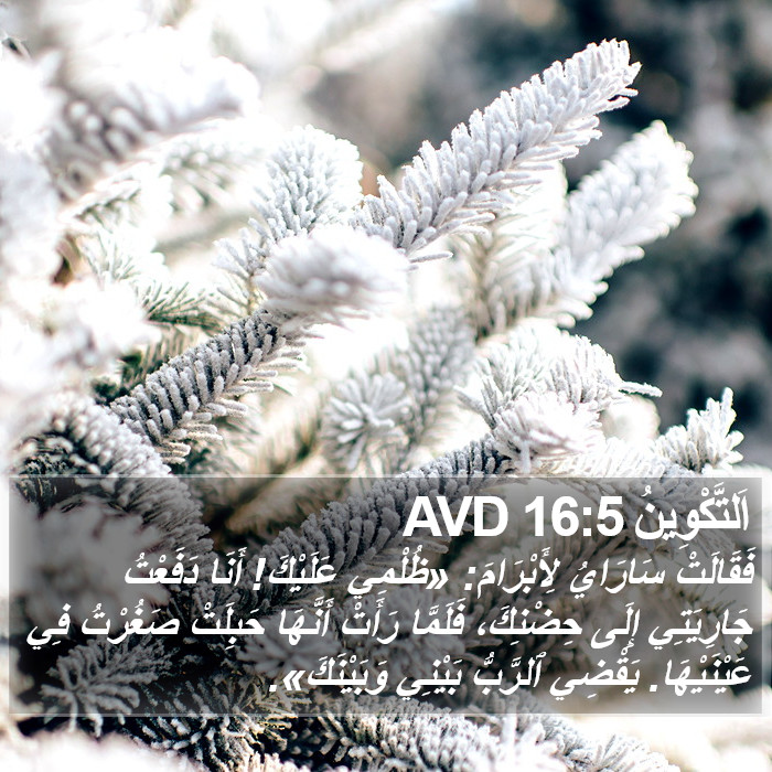 اَلتَّكْوِينُ 16:5 AVD Bible Study