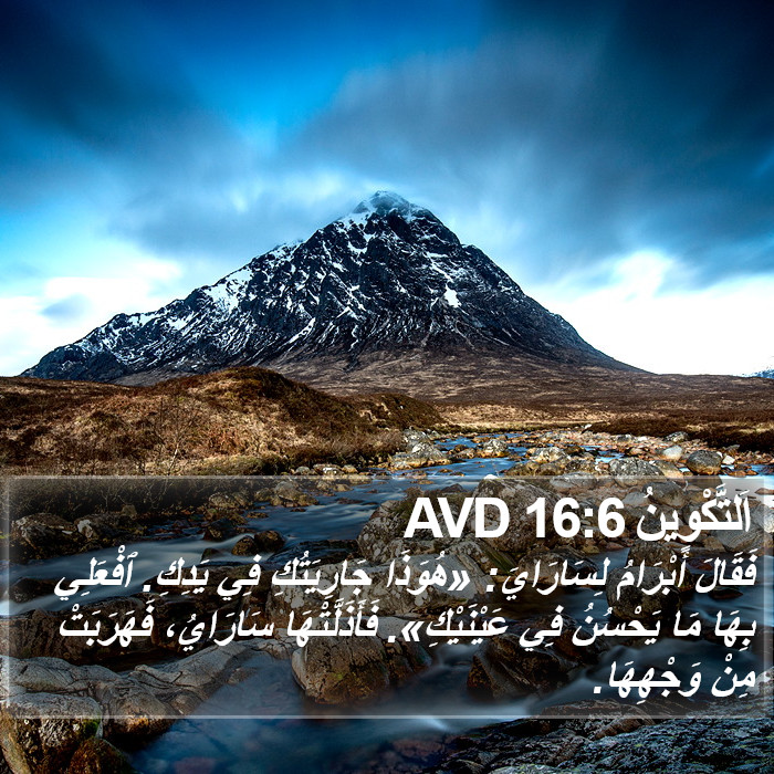 اَلتَّكْوِينُ 16:6 AVD Bible Study