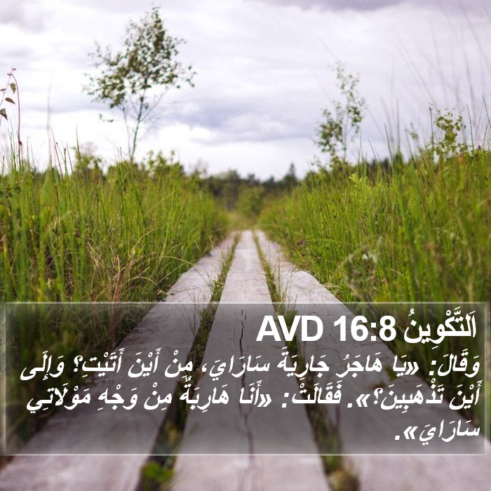 اَلتَّكْوِينُ 16:8 AVD Bible Study