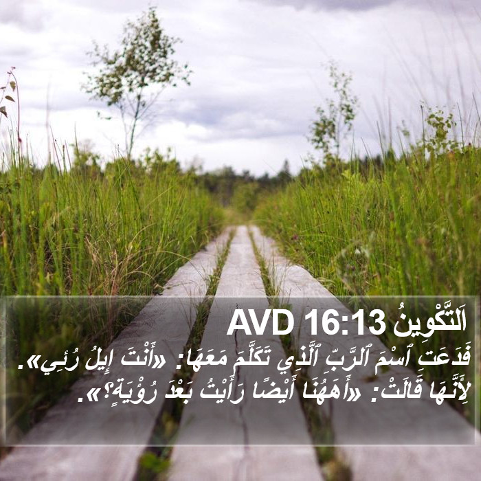 اَلتَّكْوِينُ 16:13 AVD Bible Study