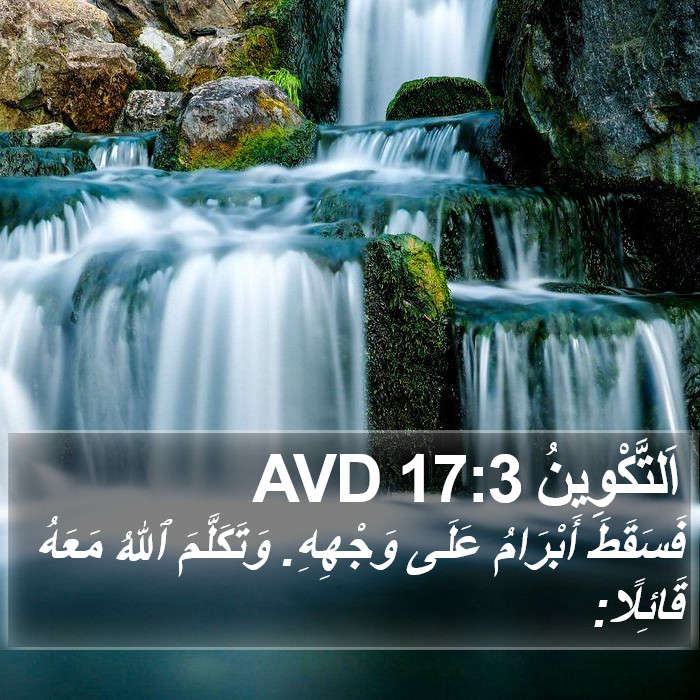 اَلتَّكْوِينُ 17:3 AVD Bible Study