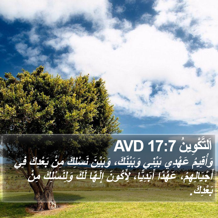 اَلتَّكْوِينُ 17:7 AVD Bible Study