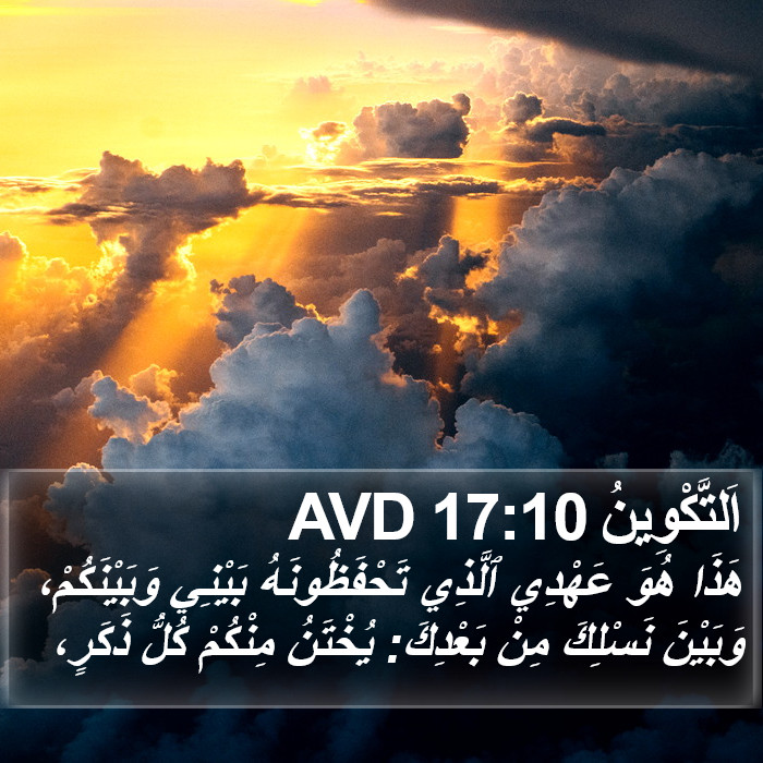 اَلتَّكْوِينُ 17:10 AVD Bible Study