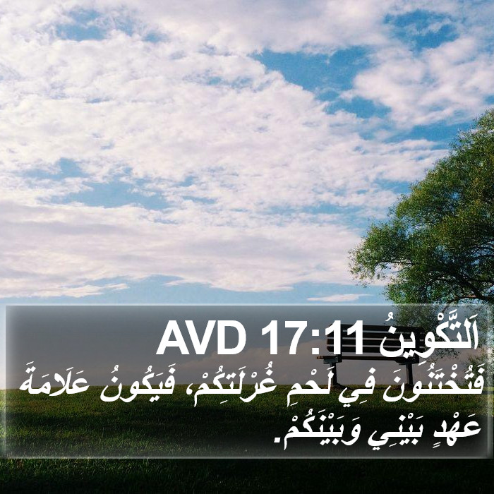 اَلتَّكْوِينُ 17:11 AVD Bible Study