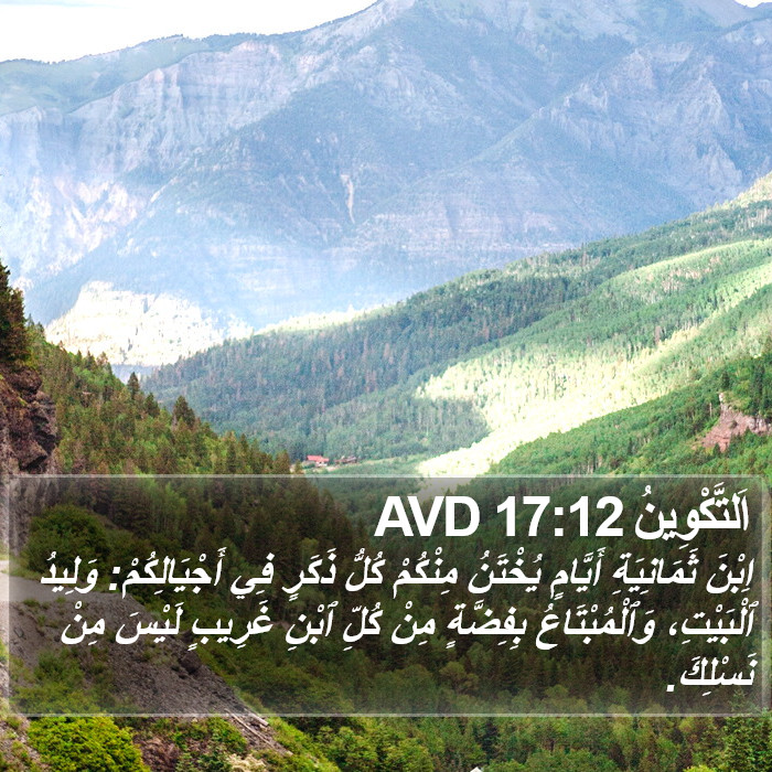 اَلتَّكْوِينُ 17:12 AVD Bible Study