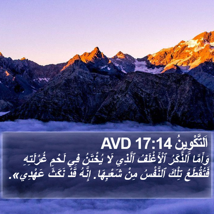 اَلتَّكْوِينُ 17:14 AVD Bible Study