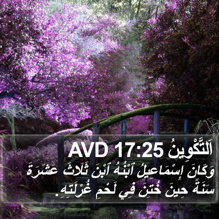 اَلتَّكْوِينُ 17:25 AVD Bible Study