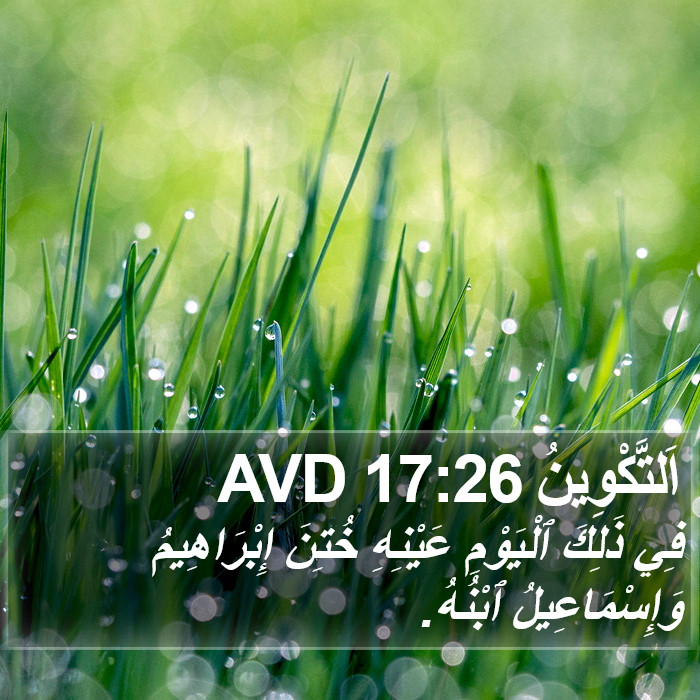 اَلتَّكْوِينُ 17:26 AVD Bible Study