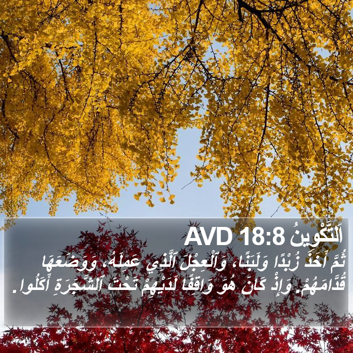 اَلتَّكْوِينُ 18:8 AVD Bible Study