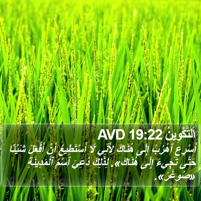اَلتَّكْوِينُ 19:22 AVD Bible Study