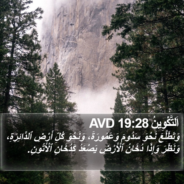 اَلتَّكْوِينُ 19:28 AVD Bible Study