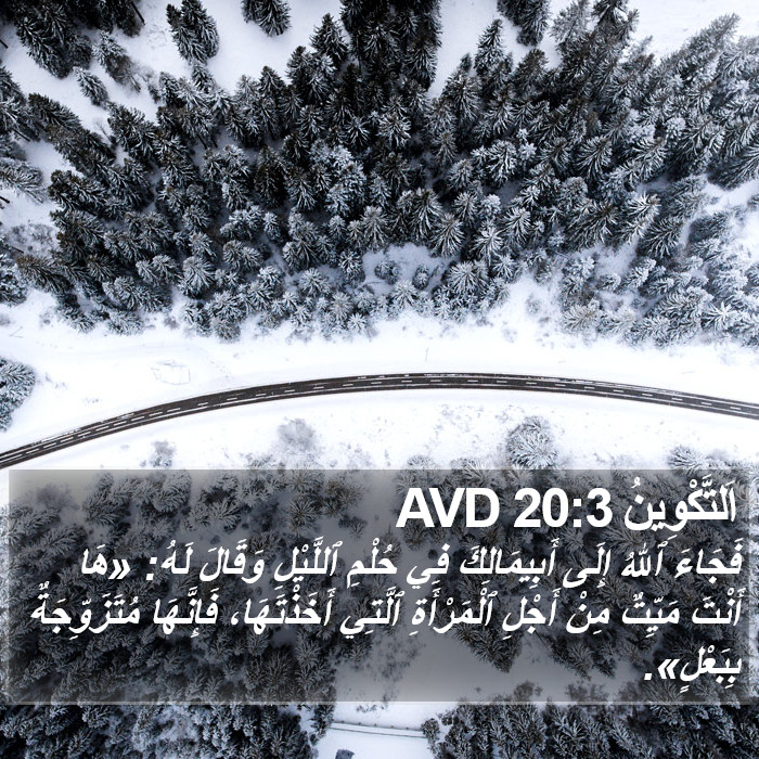 اَلتَّكْوِينُ 20:3 AVD Bible Study