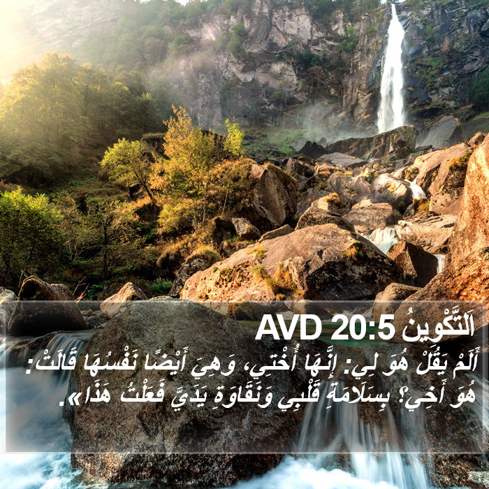 اَلتَّكْوِينُ 20:5 AVD Bible Study